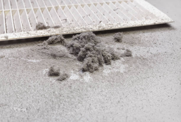 Best Home Air Vent Cleaning  in Brookfield, NJ