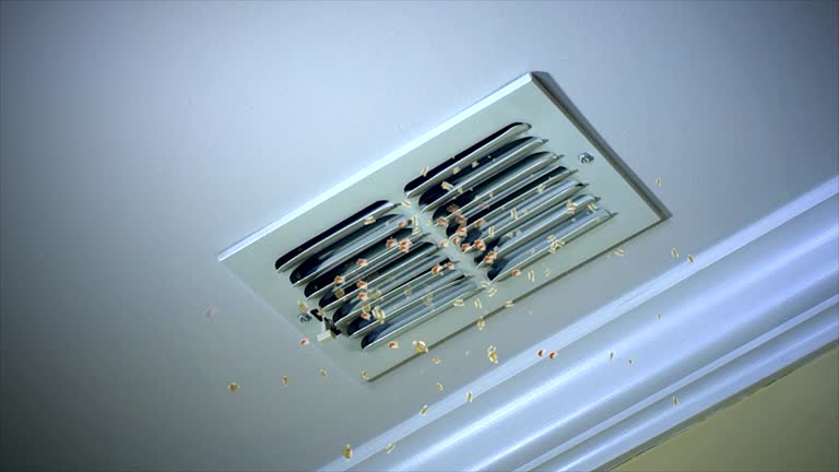 Best Residential Air Duct Cleaning  in Brookfield, NJ